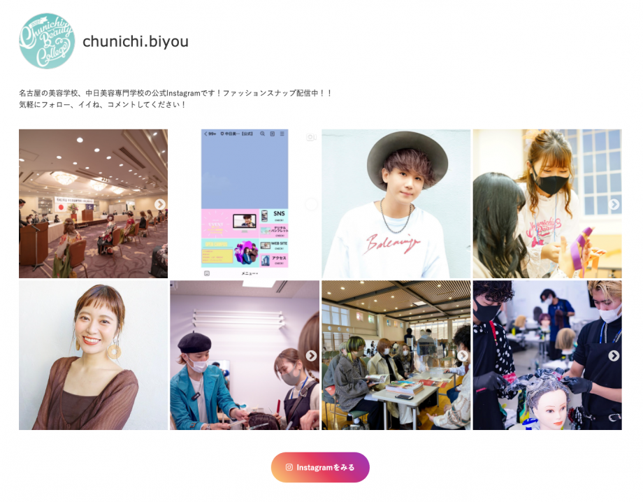 SnapWidget